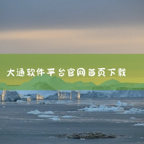 大通证券交易主要使用的官方APP是“大通证券卓翼版”，这是该券商针对个人投资者推出的专属交易及服务平台，具备基础交易、行情查询、资讯服务等核心功能，同时需注意不同手机系统（iOS/Android）需从,