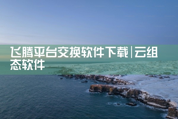 飞腾平台交换软件下载