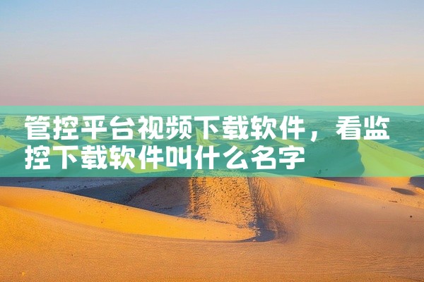 管控平台视频下载软件