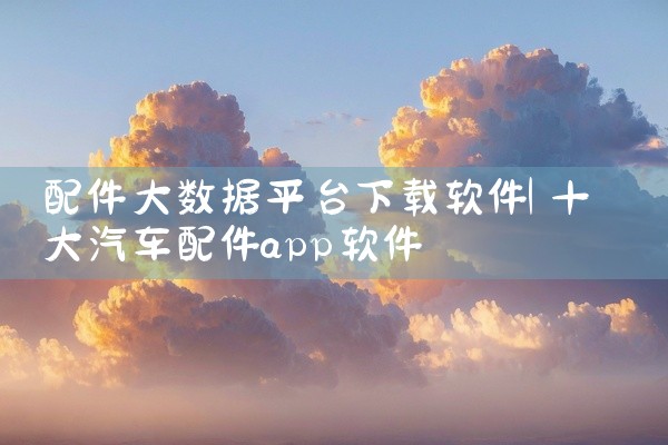 配件大数据平台下载软件
