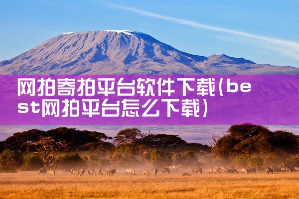 网拍寄拍平台软件下载