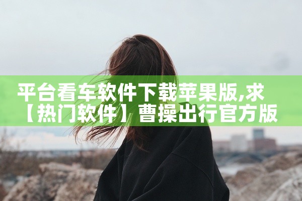 平台看车软件下载苹果版