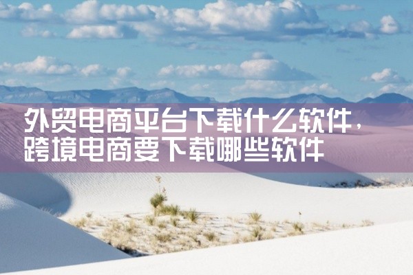 外贸电商平台下载什么软件
