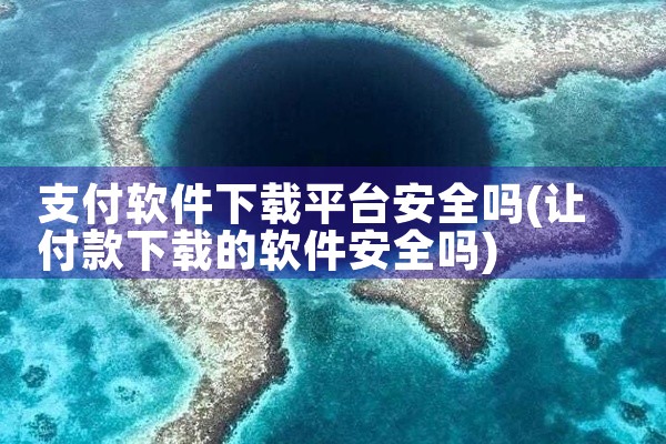 支付软件下载平台安全吗