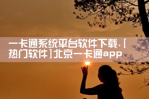 一卡通系统平台软件下载
