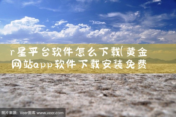 r星平台软件怎么下载