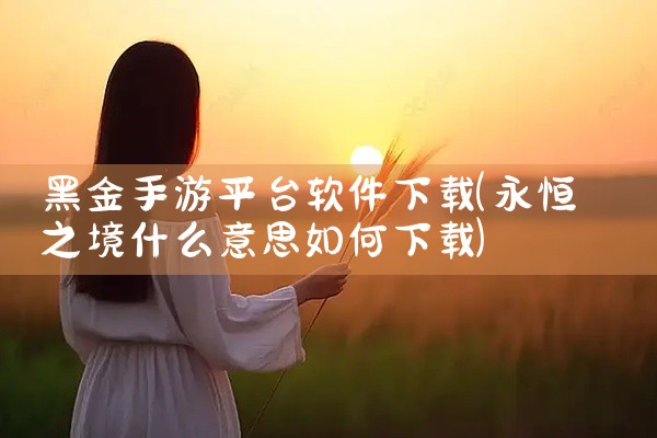 黑金手游平台软件下载